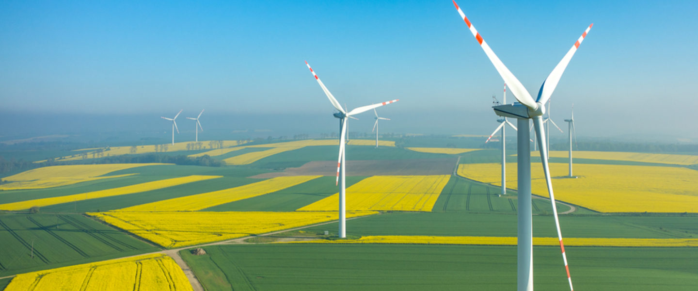 éoliennes champs verts jaunes