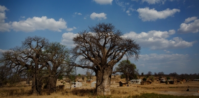 paysage Djibouti